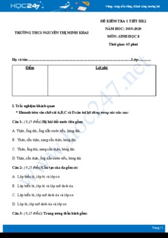 Đề kiểm tra ôn tập 1 tiết HK2 môn Sinh học 8 năm 2019-2020 - Trường THCS Nguyễn Thị Minh Khai có đáp án