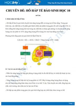 Lý thuyết ôn tập chuyên đề Hô hấp tế bào Sinh học 10 nâng cao