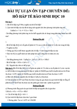 Bài tập tự luận ôn tập chuyên đề Hô hấp tế bào Sinh học 10 nâng cao