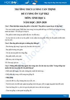 Đề cương ôn tập HK2 môn Sinh học 6 năm 2019-2020 - Trường THCS Lương Tấn Thịnh