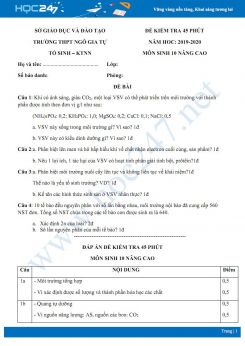 Đề kiểm tra 45 phút HK2 môn Sinh học 10 năm 2019-2020- Trường THPT Ngô Gia Tự phân ban nâng cao có đáp án