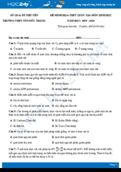 Đề thi thử THPT QG năm 2020 môn Sinh - Trường THPT Tôn Đức Thắng Phú Yên có đáp án