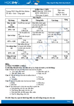 Đề kiểm tra 1 tiết HK2 môn Sinh học 6 năm 2019-2020 - Trường THCS Nguyễn Bỉnh Khiêm có đáp án (2 đề)