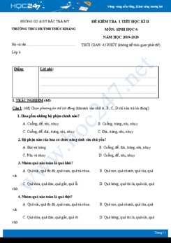 Đề kiểm tra 1 tiết HK2 môn Sinh học 6 năm 2019-2020 - Trường THCS Huỳnh Thúc Kháng có đáp án