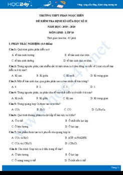 Đề kiểm tra giữa HK2 môn Sinh học 10 năm 2019-2020 - Trường THPT Phan Ngọc Hiển có đáp án