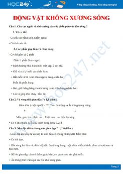 Bài tập tự luận ôn tập chuyên đề Động vật không xương sống Sinh học 7 có đáp án