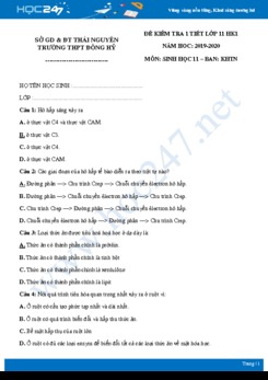 Đề kiểm tra ôn tập Chương I môn Sinh học 11 năm 2020 - Trường THPT Đồng Hỷ có đáp án