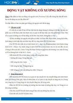 Hướng dẫn giải chi tiết bài tập tự luận tổng ôn Phần Động vật không xương sống Sinh học 7