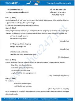 Đề thi HSG năm 2019 môn Ngữ Văn 9 - Trường THCS&THPT Bến Quan