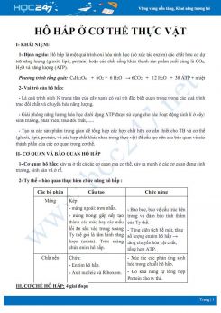 Lý thuyết ôn tập chuyên đề Hô hấp ở cơ thể thực vật Sinh học 11