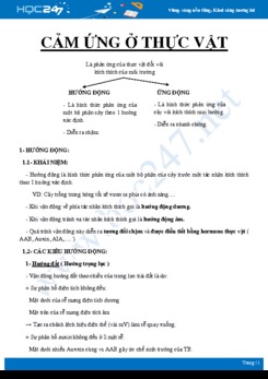 Lý thuyết ôn tập chuyên đề Cảm ứng ở thực vật Sinh học 11 - Trường THPT Ngô Gia Tự