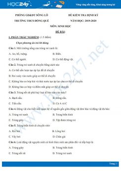 Đề kiểm tra định kỳ chủ đề Các ngành động vật nguyên sinh Sinh học 7 năm 2020 - Trường THCS Đồng Quê có đáp án