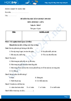 Đề kiểm tra ôn tập HK2 môn Sinh học 6 năm 2019-2020 - Phòng GD&ĐT TP. Hưng Yên có đáp án