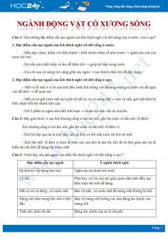 Hướng dẫn giải chi tiết 34 câu hỏi tự luận ôn tập chuyên đề Ngành động vật có xương sống Sinh học 7