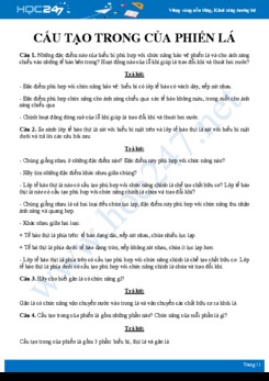 Câu hỏi tự luận ôn tập chủ đề Cấu tạo trong của phiến lá Sinh học 6 có hướng dẫn giải chi tiết