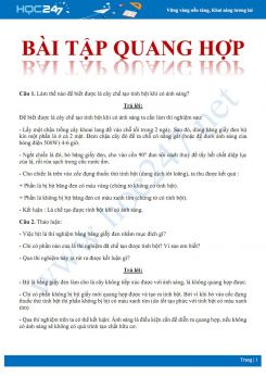 Bài tập tự luận ôn tập chuyên đề Quang hợp Sinh học 6 có hướng dẫn giải chi tiết