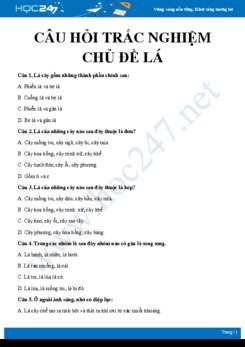 30 Câu hỏi trắc nghiệm ôn tập chủ đề Lá Sinh học 6 có đáp án