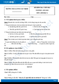 Đề kiểm tra 1 tiết HK2 môn Sinh học 6 năm 2019-2020 - Trường THCS Lương Tấn Thịnh có đáp án