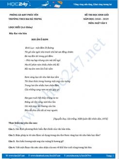 Đề thi HSG năm 2019 môn Ngữ Văn 9 - Trường THCS Hai Bà Trưng