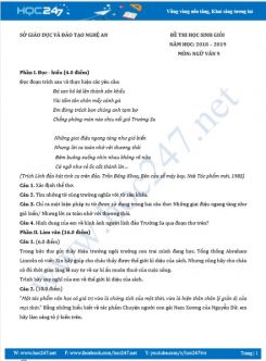 Đề thi HSG năm 2019 môn Ngữ Văn 9 - Sở GD&ĐT Nghệ An