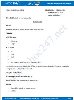 Đề kiểm tra 1 tiết HK2 năm 2020 môn Ngữ Văn 6 - Trường THCS Lạc Hồng (Phần Tập làm văn)