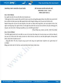 Đề thi HSG năm 2019 môn Ngữ Văn 11 - Trường THPT Chuyên Lê Quý Đôn - Đà Nẵng
