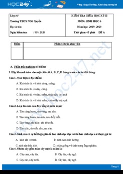 Đề kiểm tra giữa HK2 môn Sinh học 6 năm 2019-2020 - Trường THCS Ngô Quyền có đáp án