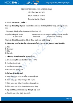 Đề kiểm tra ôn tập HK2 môn Sinh học 6 năm 2019-2020 - Trường THCS Bình Châu có đáp án