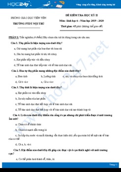 Đề kiểm tra tổng ôn cuối HK2 môn Sinh học 6 năm 2019-2020 - Phòng GD&ĐT Tiên Yên có đáp án