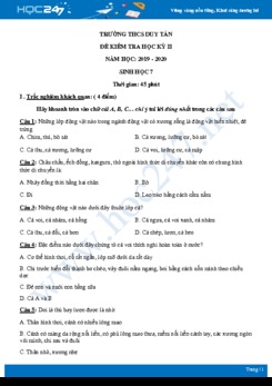 Đề kiểm tra HK2 môn Sinh học 7 năm 2019-2020 - Trường THCS Duy Tân có đáp án