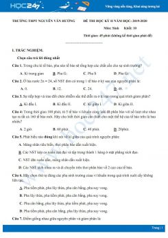 Đề kiểm tra chất lượng HK2 môn Sinh học 10 năm 2019-2020 - Trường THPT Nguyễn Văn Thưởng có đáp án