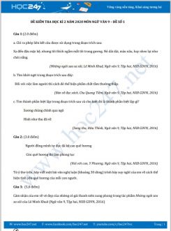Đề kiểm tra HK2 năm 2020 môn Ngữ Văn 9 - Đề số 1