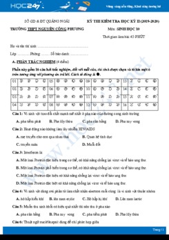 Đề thi HK2 môn Sinh học 10 năm 2019-2020 - Trường THPT Nguyễn Công Phương có đáp án