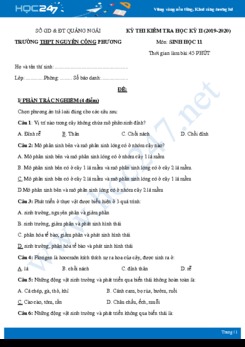 Đề thi HK2 môn Sinh học 11 năm 2019-2020 - Trường THPT Nguyễn Công Phương có đáp án