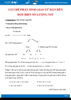 Phương pháp giải các dạng toán về Cơ chế phát sinh giao tử dẫn đến đột biến số lượng nhiễm sắc thể Sinh học 12