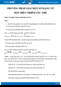 Phương pháp giải một số dạng bài tập về Đột biến nhiễm sắc thể Sinh học 12