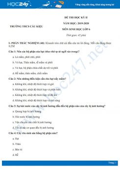 Đề thi HK2 môn Sinh học 6 năm 2019-2020 - Trường THCS Cầu Kiệu có đáp án
