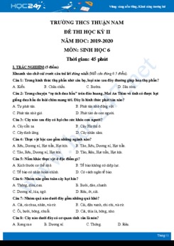 Đề thi HK2 môn Sinh học 6 năm 2019-2020 - Trường THCS Thuận Nam có đáp án