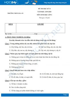 Đề kiểm tra HK2 môn Sinh học 6 năm 2019-2020 - Trường THCS Gia An có đáp án