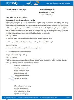 Đề kiểm tra HK2 năm 2020 môn Ngữ Văn 9 - Trường THCS Tô Vĩnh Diện