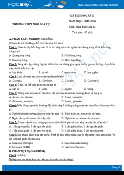 Đề thi HK2 môn Sinh lớp 11 năm 2020 - Trường THPT Ngô Gia Tự có đáp án