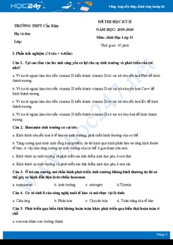 Đề thi HK2 môn Sinh lớp 11 năm 2020 - Trường THPT Cầu Kiệu có đáp án