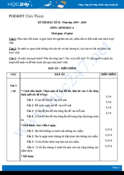 Đề thi kết thúc HK2 môn Sinh học 6 năm 2020 - Phòng GD&ĐT Châu Thành có đáp án