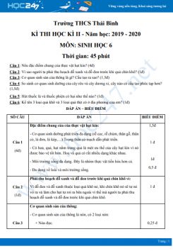 Đề kiểm tra cuối HK2 môn Sinh học 6 năm 2020 - Trường THCS Thái Bình có đáp án