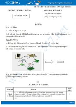 Đề thi HK2 môn Sinh học 9 năm 2020 - Trường THCS Dray Bhăng có đáp án
