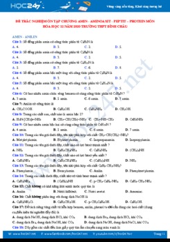 Đề trắc nghiệm ôn tập Chương Amin, Amino axit, Peptit, Protein môn Hóa học 12 năm 2020 Trường THPT Bình Châu