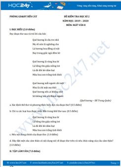Đề kiểm tra HK2 năm 2020 môn Ngữ Văn 8 - Phòng GD&ĐT Bến Cát