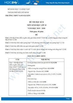 Đề thi HK2 môn Sinh học 10 năm 2020 - Trường THPT Nam Sài Gòn có đáp án
