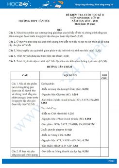 Đề kiểm tra cuối HK2 môn Sinh học 10 năm 2020 - Trường THPT Tân Túc có đáp án