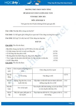Đề KSCL đầu năm môn Sinh học lớp 8 năm 2020 - Trường THCS Hòa Bình có đáp án
